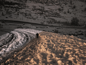 annapurna region blog