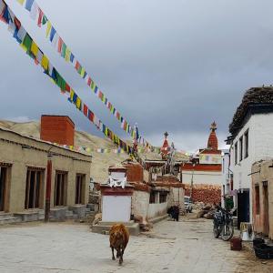 Lo-manthang-mustang 