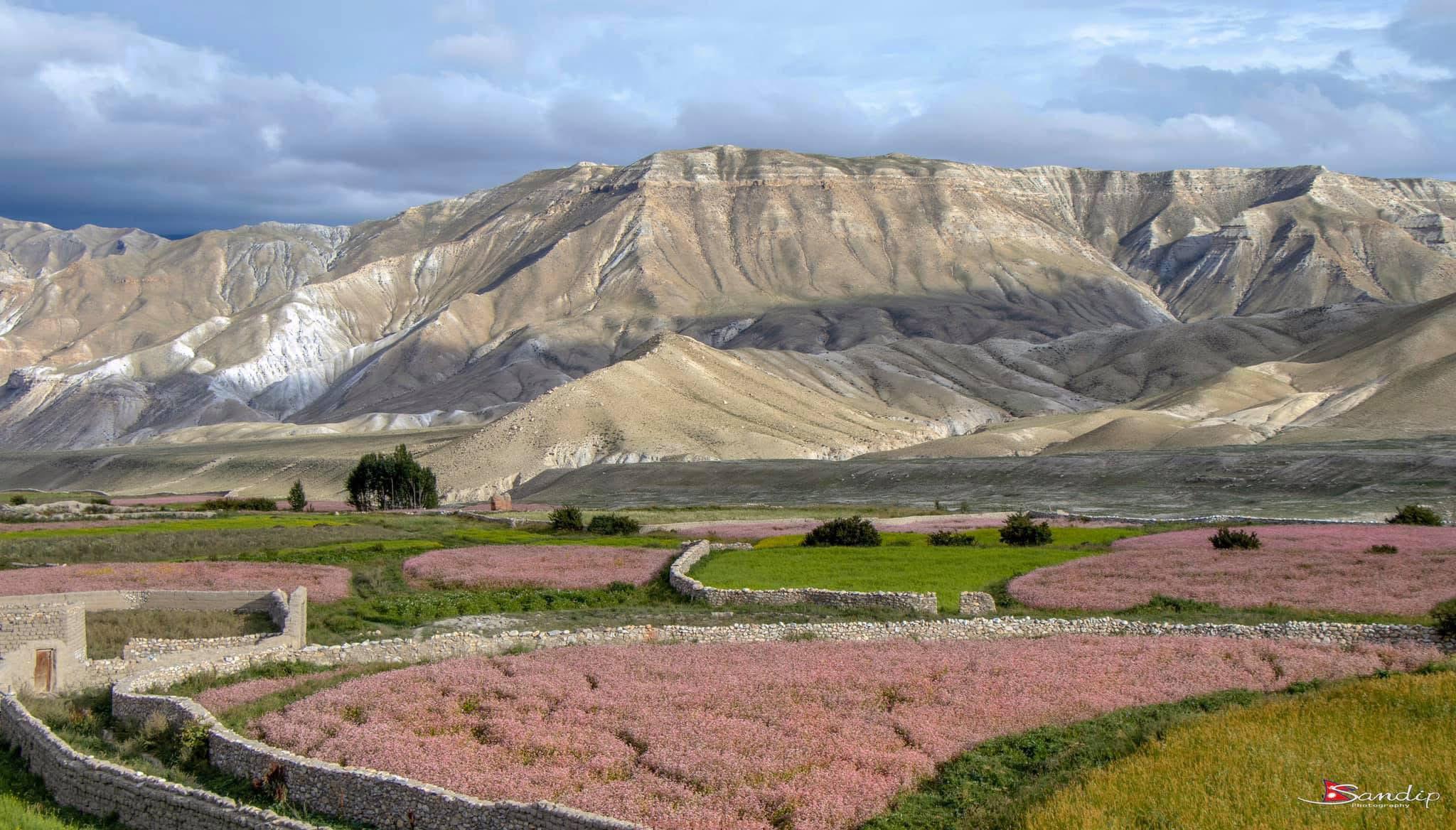 Lo-Manthang-Mustang 