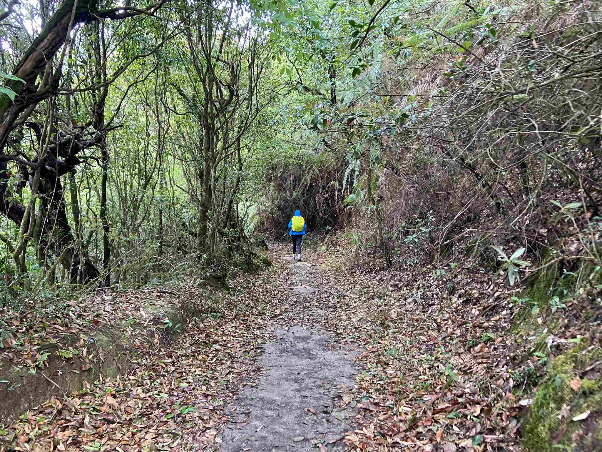 Shivapuri-day-hike 