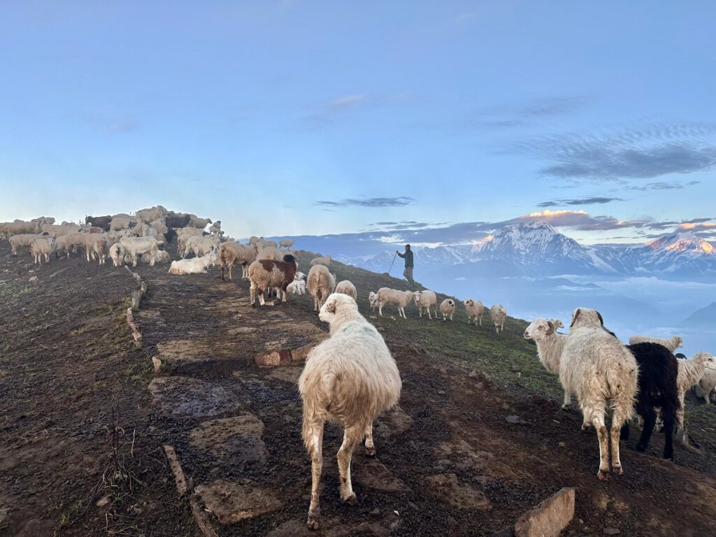 Annapurna Region