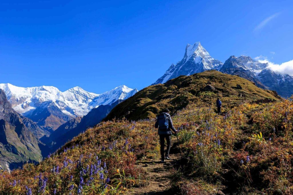 mardi himal-trek