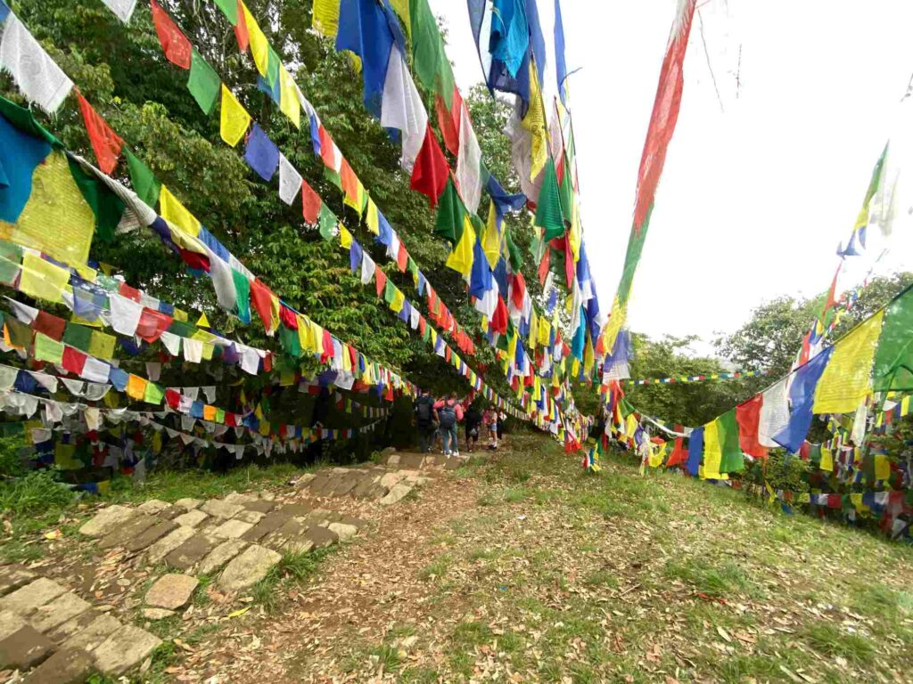 Jamacho-nagarjun national