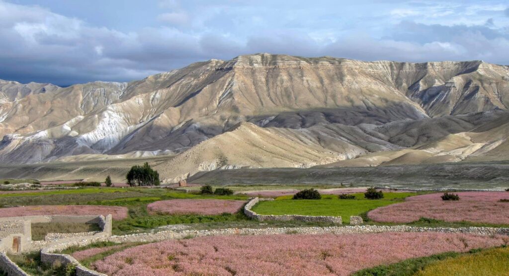 Lo Manthang-Mustang