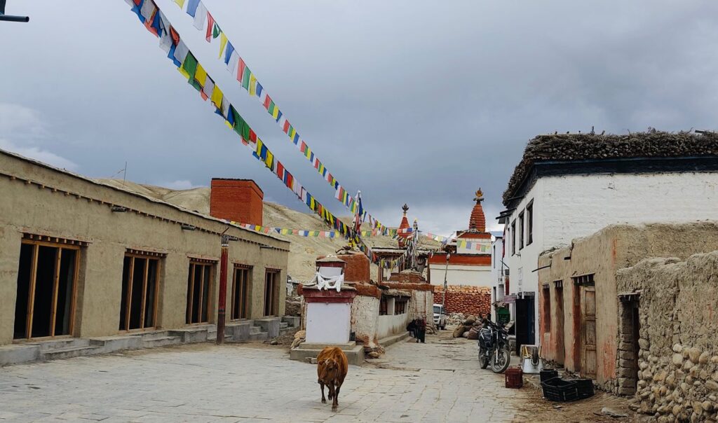 Upper mustang valley trek