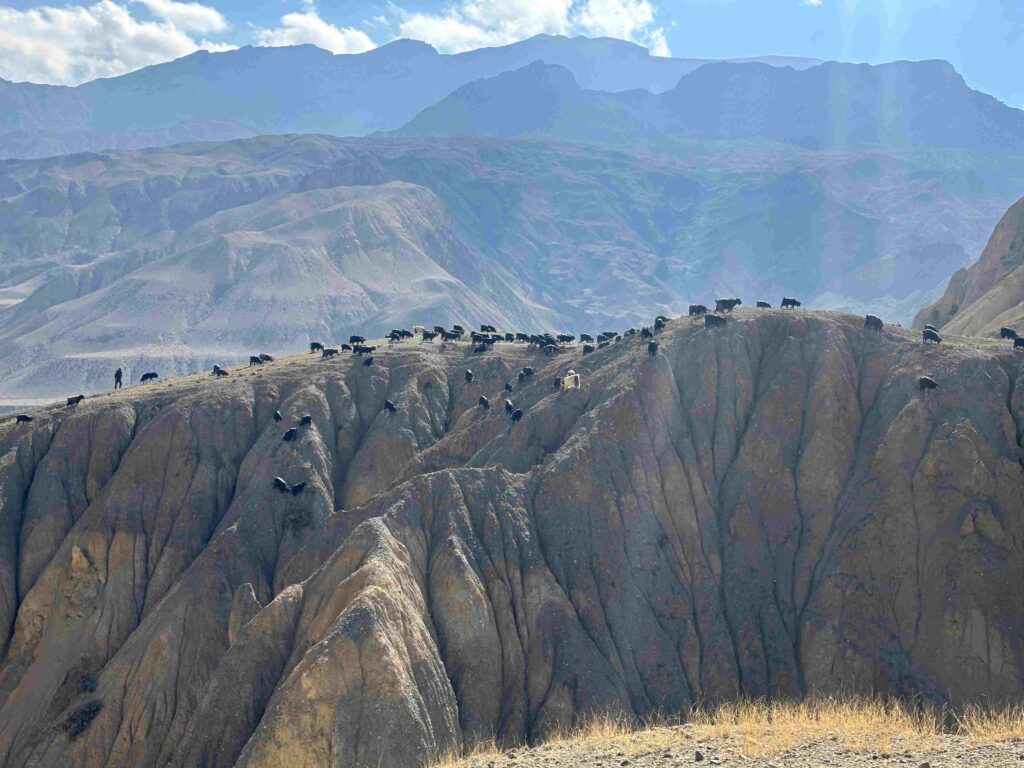 Upper mustang trek