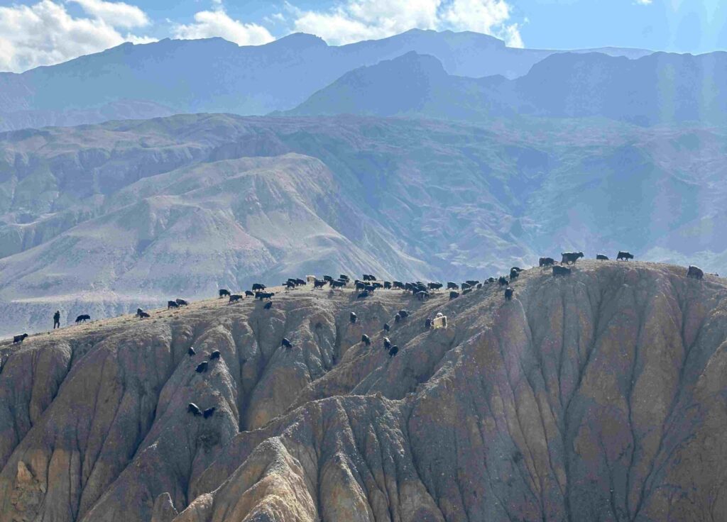 Upper mustang trek