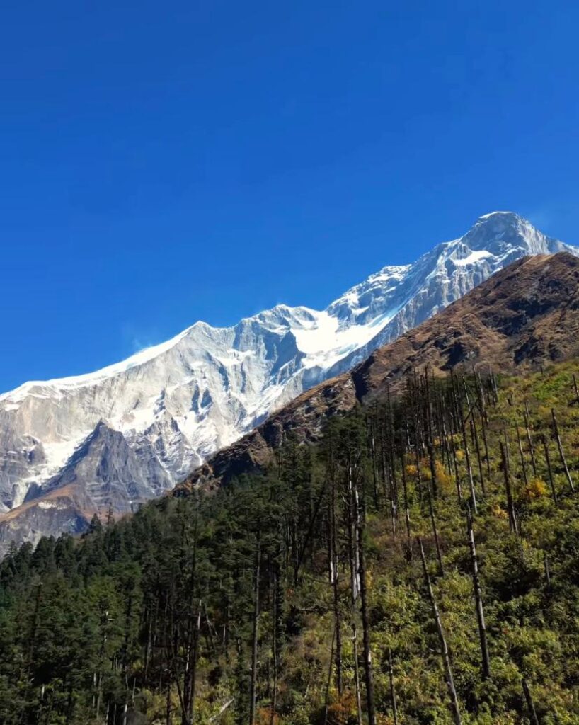 Dhaulagiri round trek