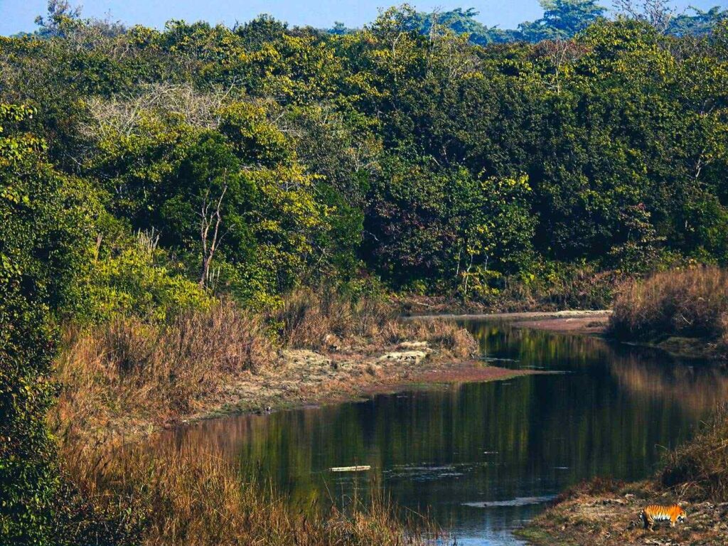 bardiya national park