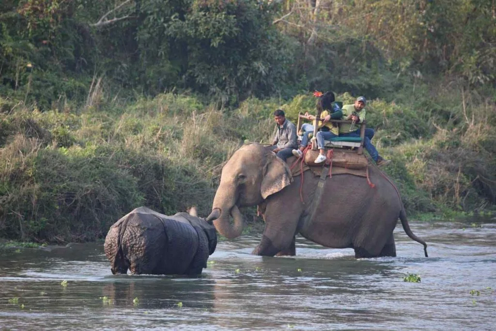 Chitwan Jungle Safari Tour
