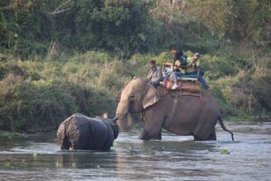 Chitwan Jungle Safari Tour 4 Chitwan Jungle Safari Tour