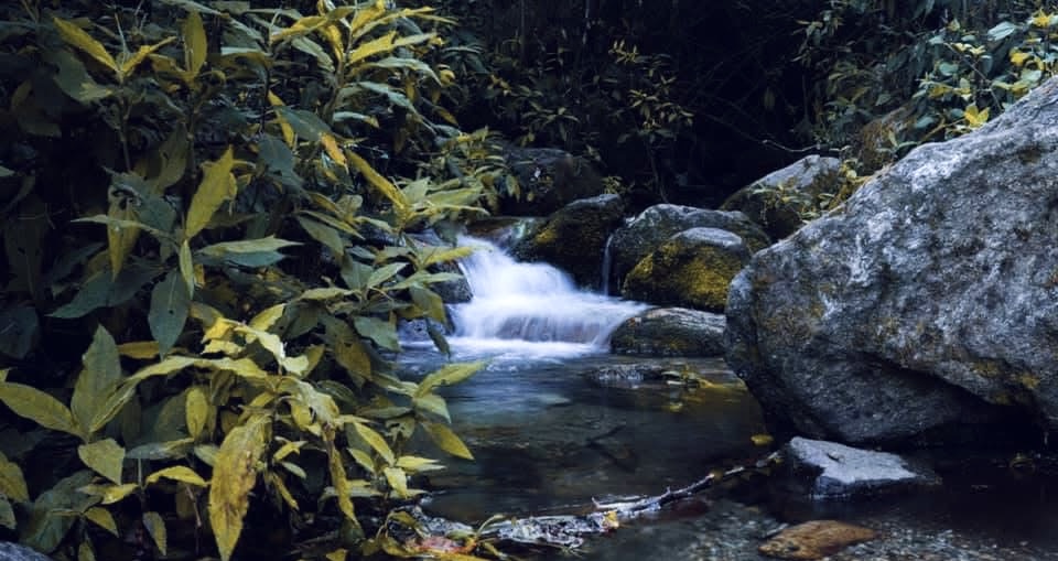 Bishnudwar shivapuri day hike