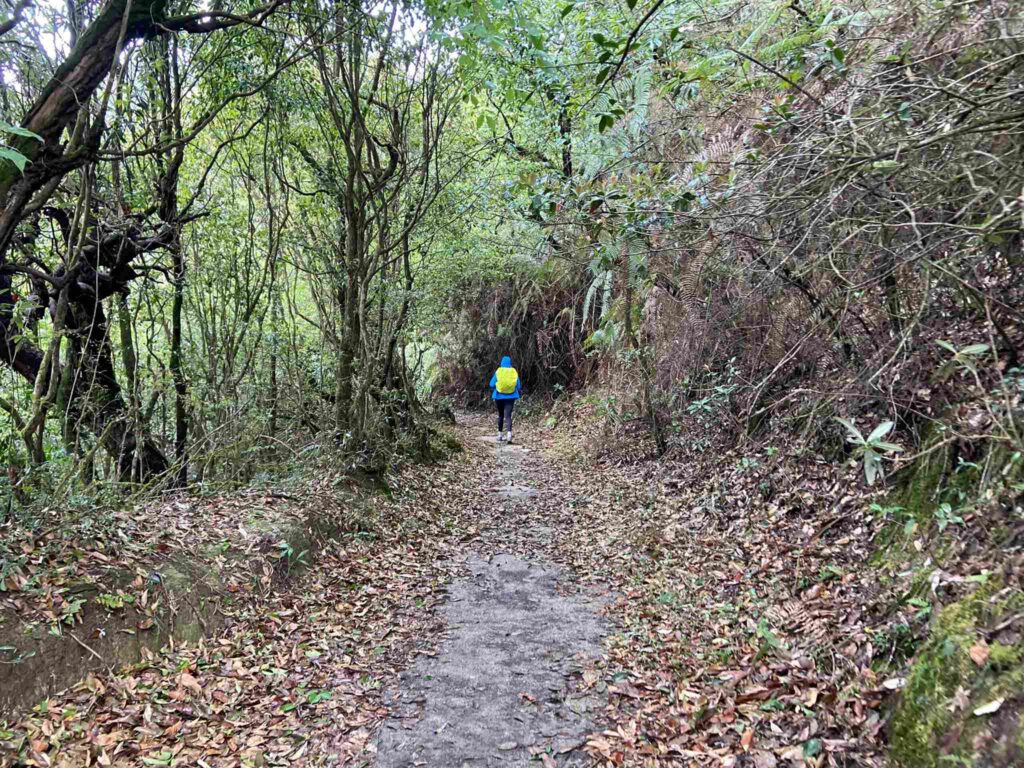 Shivapuri day -hike