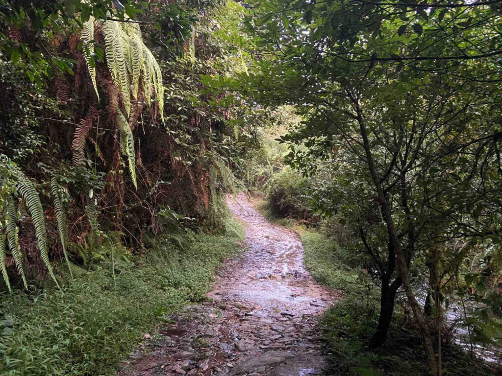 Shivapuri national park